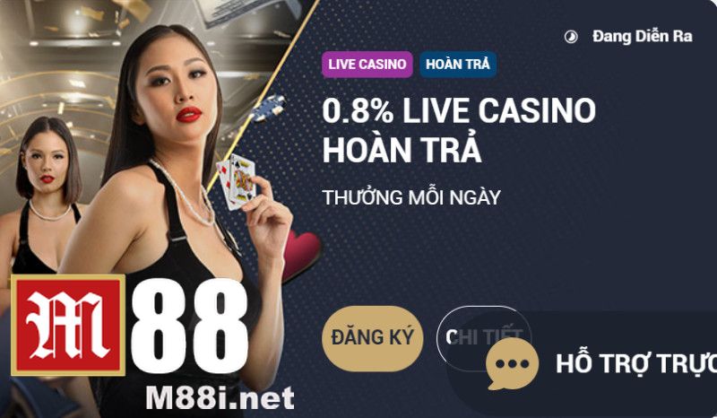 M88 Thưởng Mỗi Ngày Với Chương Trình Hoàn Trả 0.8% Tại Sảnh Live Casino